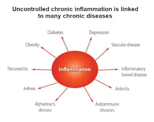 Uncontrolled inflammation leads to many chronic diseases such as diabetes, obesity, depression, arthritis, and more